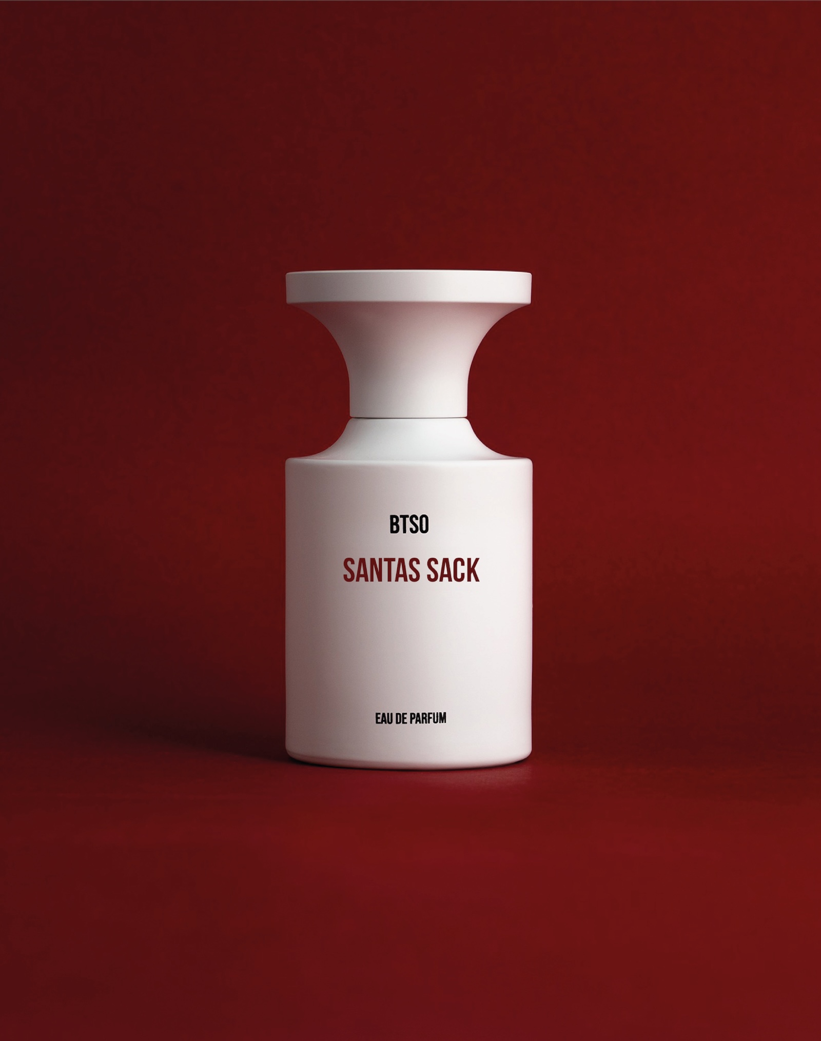Santas Back Branding Project Preview